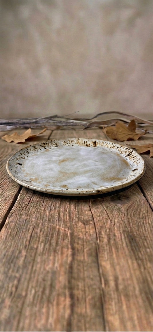 Speckled Large Plate