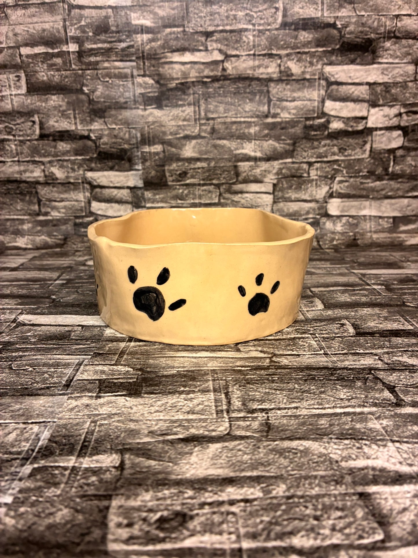 Pet Bowl