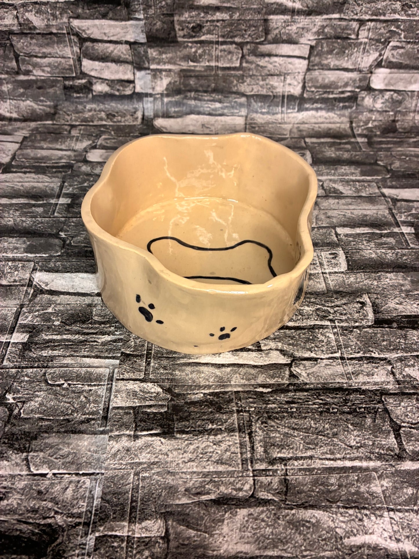 Pet Bowl